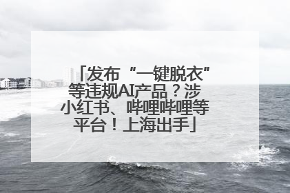 发布“一键脱衣”等违规AI产品？涉小红书、哔哩哔哩等平台！上海出手