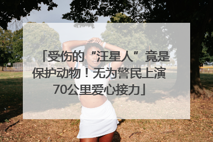 受伤的“汪星人”竟是保护动物！无为警民上演70公里爱心接力