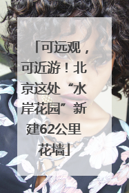 可远观，可近游！北京这处“水岸花园”新建62公里花墙