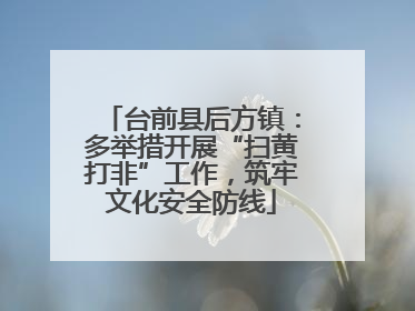 台前县后方镇：多举措开展“扫黄打非”工作，筑牢文化安全防线