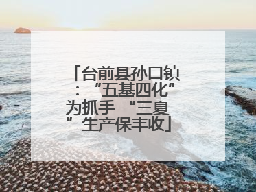 台前县孙口镇：“五基四化”为抓手 “三夏”生产保丰收