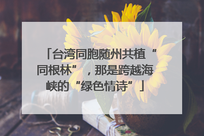 台湾同胞随州共植“同根林”，那是跨越海峡的“绿色情诗”