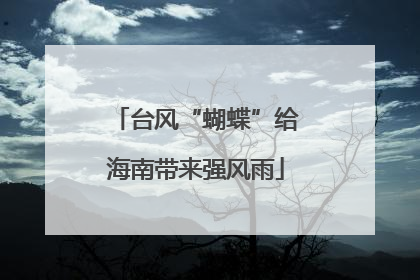 台风“蝴蝶”给海南带来强风雨