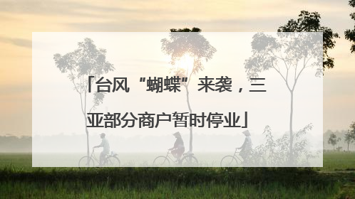 台风“蝴蝶”来袭，三亚部分商户暂时停业