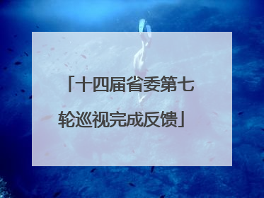 十四届省委第七轮巡视完成反馈