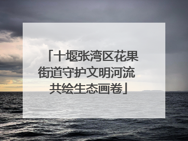 十堰张湾区花果街道守护文明河流 共绘生态画卷