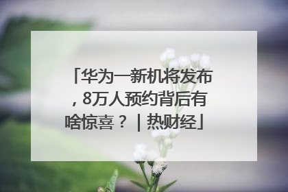 华为一新机将发布，8万人预约背后有啥惊喜？｜热财经