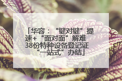 华容：“键对键”提速+“面对面”解难 38份特种设备登记证“一站式”办结