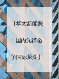 华太新能源：国内先锋奋争国际龙头