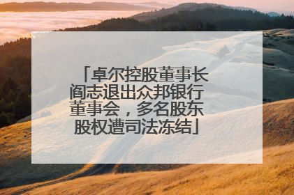卓尔控股董事长阎志退出众邦银行董事会，多名股东股权遭司法冻结