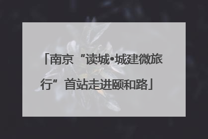 南京“读城•城建微旅行”首站走进颐和路