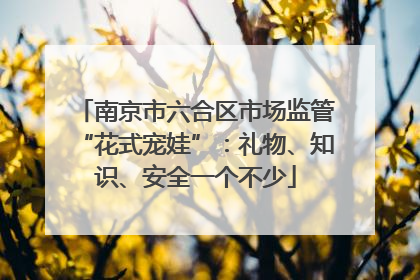 南京市六合区市场监管“花式宠娃”：礼物、知识、安全一个不少