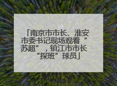 南京市市长、淮安市委书记现场观看“苏超”，镇江市市长“探班”球员
