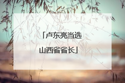 卢东亮当选山西省省长
