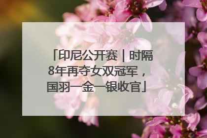 印尼公开赛｜时隔8年再夺女双冠军，国羽一金一银收官