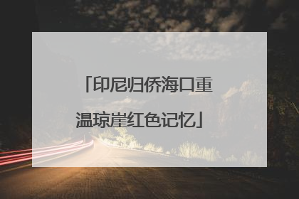 印尼归侨海口重温琼崖红色记忆