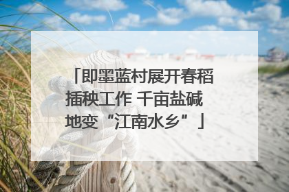 即墨蓝村展开春稻插秧工作 千亩盐碱地变“江南水乡”