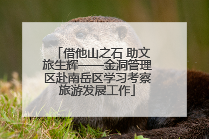 借他山之石 助文旅生辉——金洞管理区赴南岳区学习考察旅游发展工作