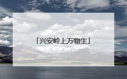 兴安岭上万物生