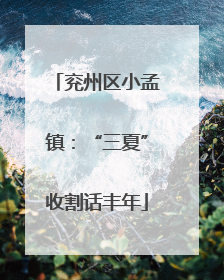 兖州区小孟镇：“三夏”收割话丰年