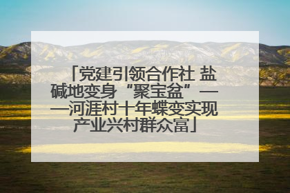 党建引领合作社 盐碱地变身“聚宝盆”——河涯村十年蝶变实现产业兴村群众富