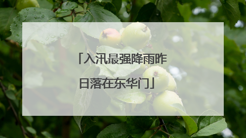 入汛最强降雨昨日落在东华门