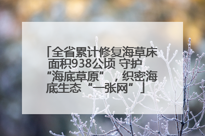 全省累计修复海草床面积938公顷 守护“海底草原”，织密海底生态“一张网”