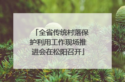 全省传统村落保护利用工作现场推进会在松阳召开