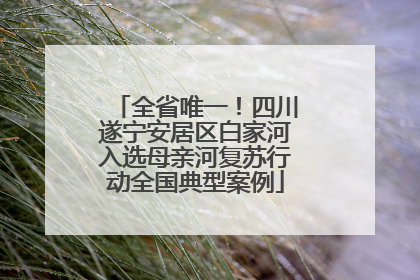 全省唯一！四川遂宁安居区白家河入选母亲河复苏行动全国典型案例
