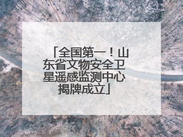 全国第一！山东省文物安全卫星遥感监测中心揭牌成立