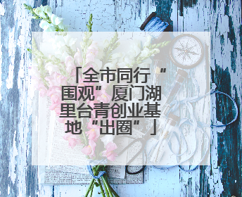 全市同行“围观”厦门湖里台青创业基地“出圈”