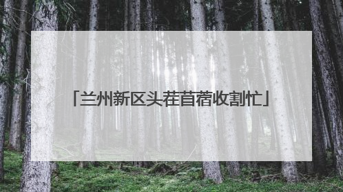 兰州新区头茬苜蓿收割忙