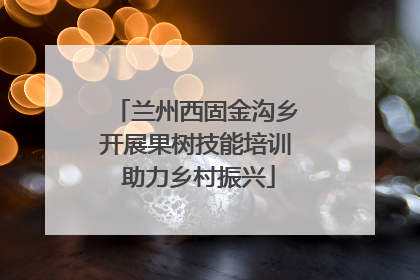 兰州西固金沟乡开展果树技能培训 助力乡村振兴