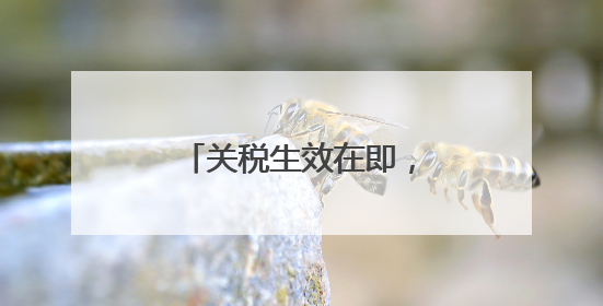 关税生效在即，葡萄牙食品价格或将暴涨逾25%