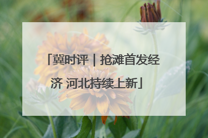 冀时评｜抢滩首发经济 河北持续上新