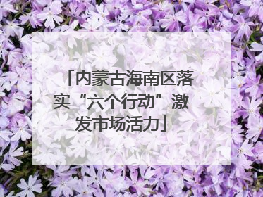 内蒙古海南区落实“六个行动”激发市场活力