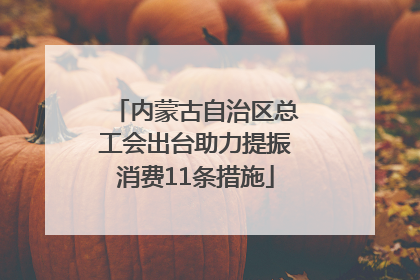 内蒙古自治区总工会出台助力提振消费11条措施