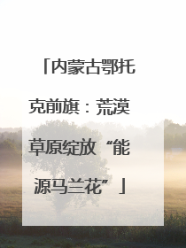 内蒙古鄂托克前旗：荒漠草原绽放“能源马兰花”