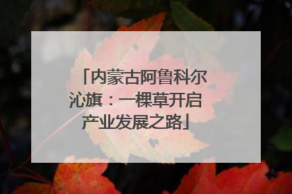 内蒙古阿鲁科尔沁旗：一棵草开启产业发展之路