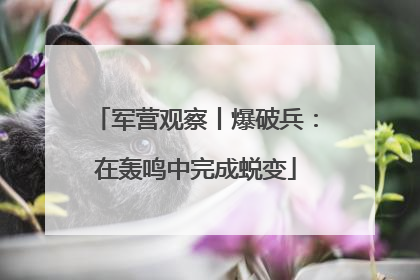 军营观察丨爆破兵：在轰鸣中完成蜕变