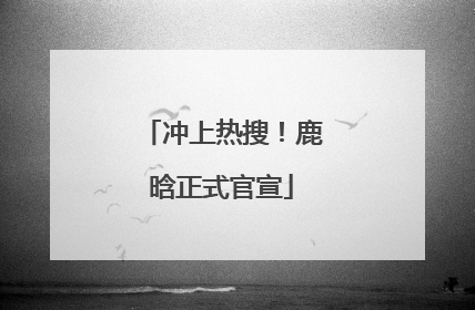 冲上热搜！鹿晗正式官宣