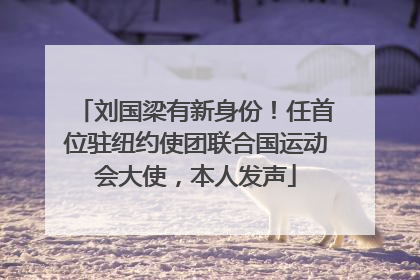刘国梁有新身份！任首位驻纽约使团联合国运动会大使，本人发声