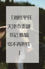 刘桂平任天津市委副书记 陈辐宽不再担任