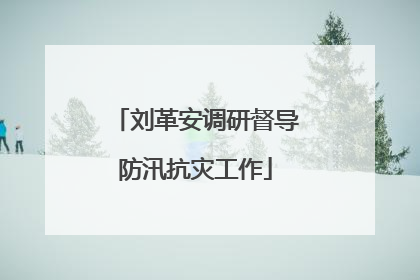 刘革安调研督导防汛抗灾工作