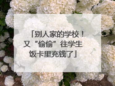 别人家的学校！又“偷偷”往学生饭卡里充钱了