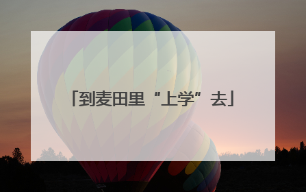 到麦田里“上学”去