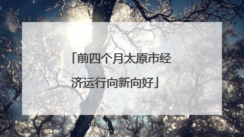 前四个月太原市经济运行向新向好