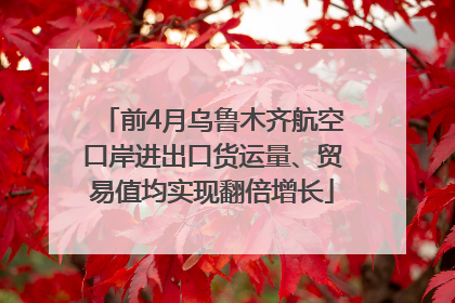 前4月乌鲁木齐航空口岸进出口货运量、贸易值均实现翻倍增长