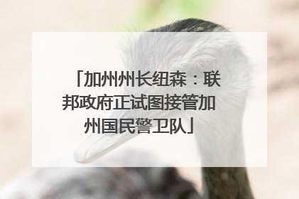 加州州长纽森：联邦政府正试图接管加州国民警卫队