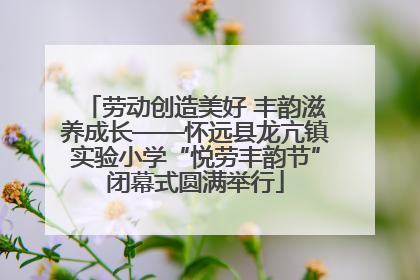 劳动创造美好 丰韵滋养成长——怀远县龙亢镇实验小学“悦劳丰韵节”闭幕式圆满举行